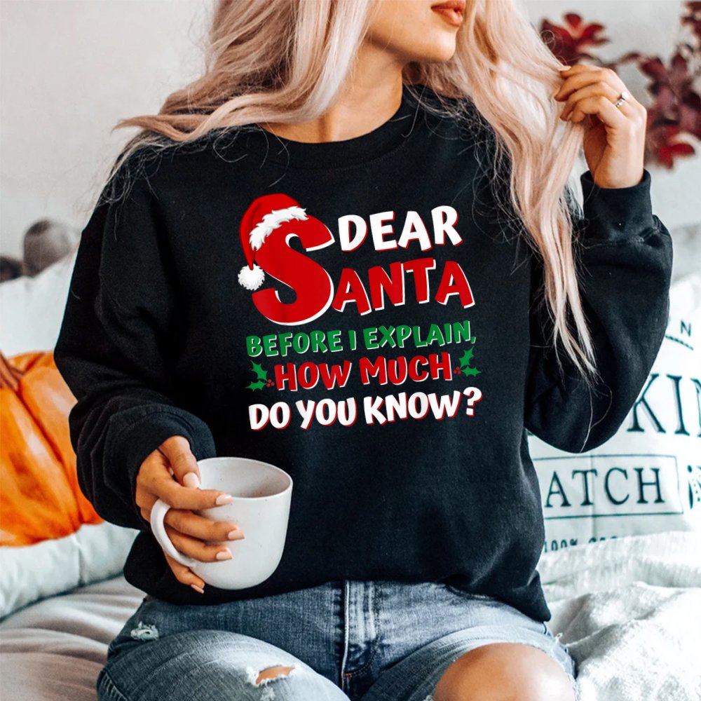 Santa I Can Explain Funny Christmas Shirt