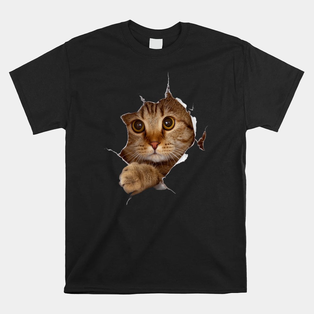 Sweet Kitten Torn Funny Cat Shirt